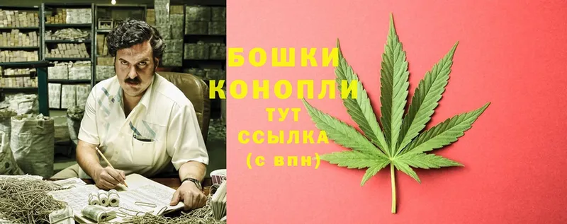 Бошки марихуана OG Kush  блэк спрут маркетплейс  Зеленогорск  где продают  